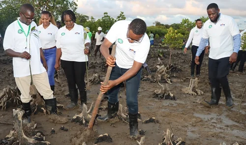 Crown Paints Commits To Renewable Energy For A Greener Future