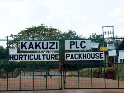 Inside the battle between Kakuzi directors and CMA