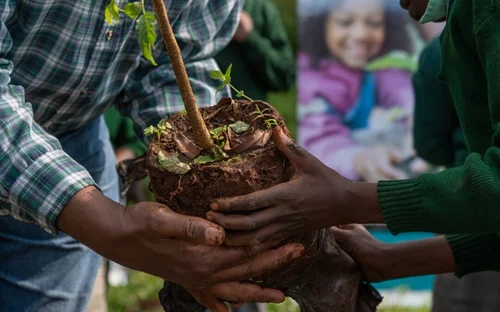 Doing Good Through Deliberate Partnership: The I&M Foundation Story