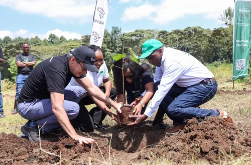 NCBA Joins Boreka Initiative at Kamwaki Estate to Drive Ecosystem Restoration on World Environment Day