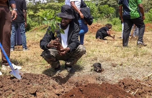 NCBA Strengthens Climate Action Drive With Indigenous Tree Planting at Kamwaki Coffee Estate, Targets 10 Million Trees By 2030