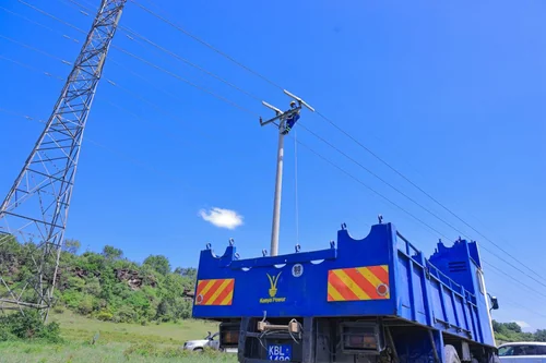 Kenya Power Partners with US Firm to End Wildlife Electrocution