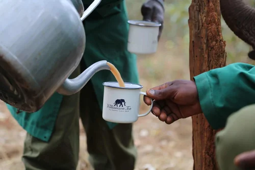 Williamson, Kapchorua Lift Dividends Despite Revenue Decline | The Kenyan Wallstreet