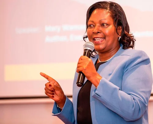 Centum Investment Appoints New Director to Fill Casual Vacancy