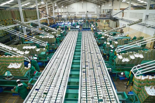 Kakuzi Workers to Get 15% Pay Rise Under New CBA