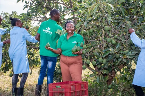 Karakuta Fresh Produce Sets Sights on NSE Listing to Unlock Growth and Investor Participation