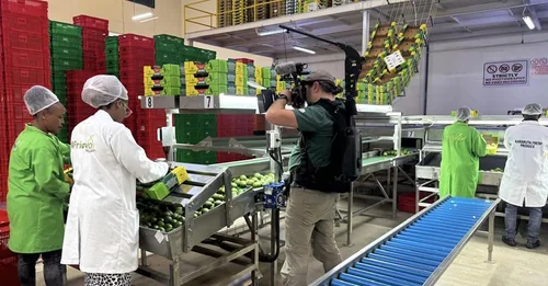 Karakuta Fresh Produce, Quickmart to List at the NSE as IPO Rains Persist